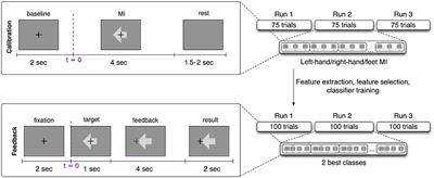 Sensorimotor Functional Connectivity: A Neurophysiological Factor Related to BCI Performance